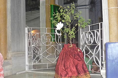 picture-24