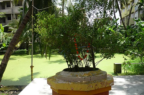 picture-14