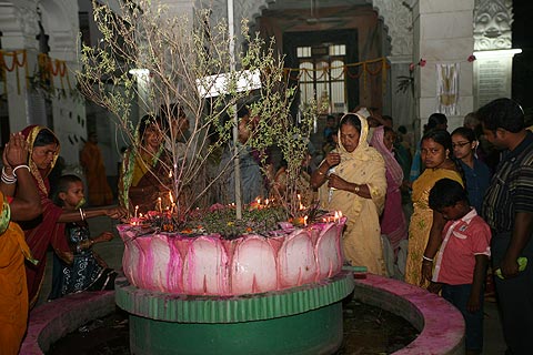 picture-10