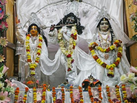 picture-15