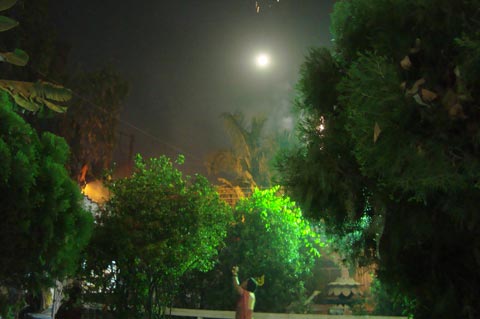 picture-02