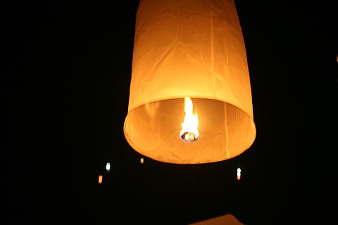 picture-08