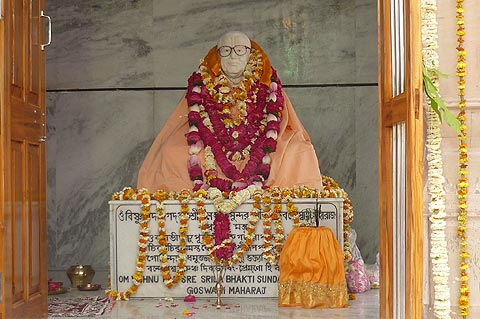 picture-11