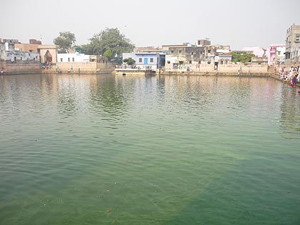 picture-08