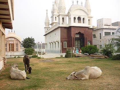 picture-20