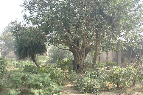 picture-05