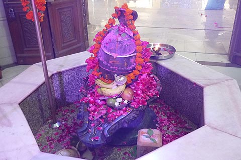 picture-12