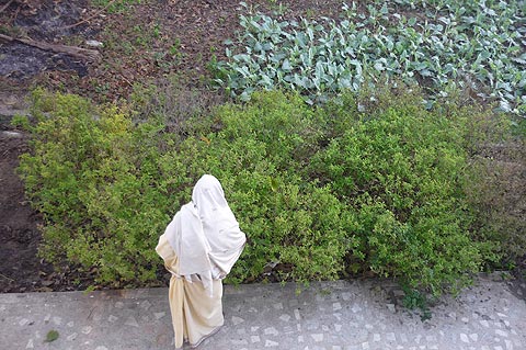picture-07