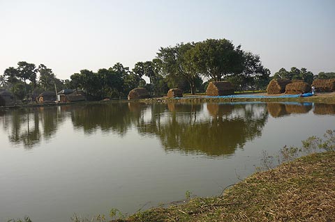 picture-03