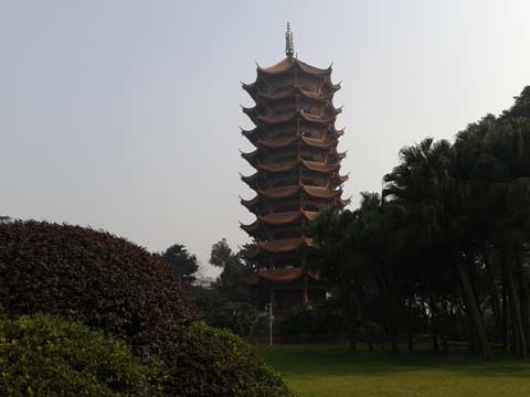 picture-03