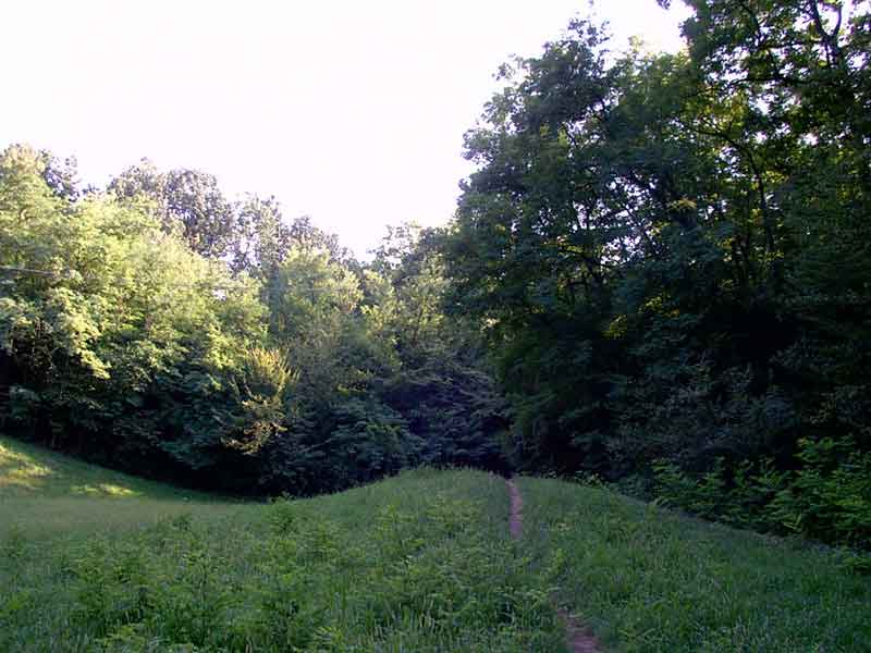 sm-woodstrail